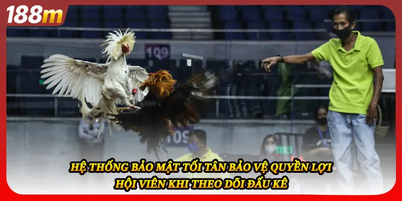 Hệ thống bảo mật tối tân bảo vệ quyền lợi hội viên khi theo dõi đấu kê