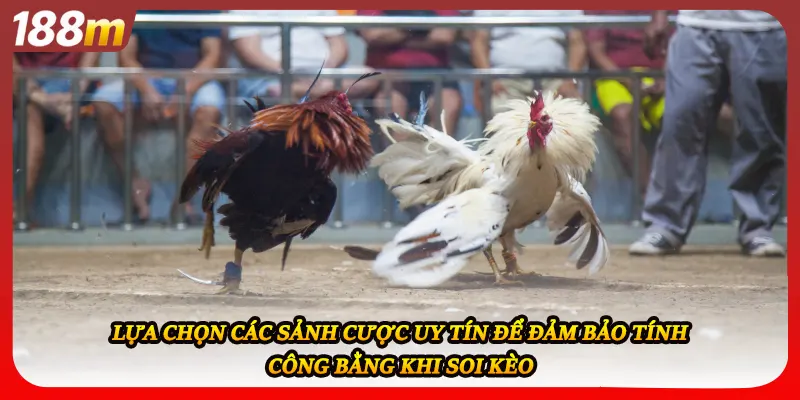 Lựa chọn các sảnh cược uy tín để đảm bảo tính công bằng khi soi kèo