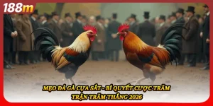 Mẹo Đá Gà Cựa Sắt - Bí Quyết Cược Trăm Trận Trăm Thắng 2026
