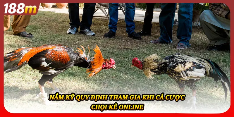 Nắm kỹ quy định tham gia khi cá cược chọi kê online