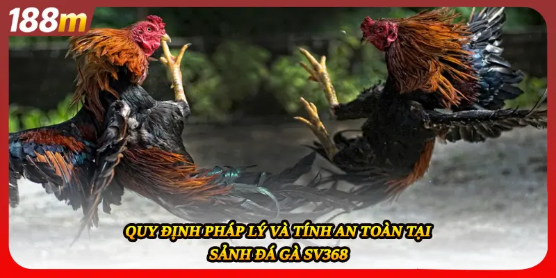 Quy định pháp lý và tính an toàn tại sảnh đá gà sv368