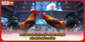 Soi Kèo Đá Gà Cựa Sắt - Kinh Nghiệm Bắt Kèo Chắc Thắng